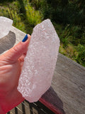 Nirvana Quartz Point Himalayan #3