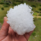 Clear Quartz Cluster