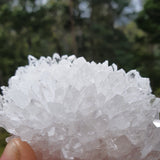 Clear Quartz Cluster