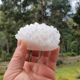 Clear Quartz Cluster