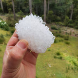 Clear Quartz Cluster