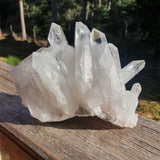 Clear Quartz Cluster