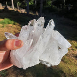 Clear Quartz Cluster