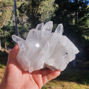 Clear Quartz Cluster