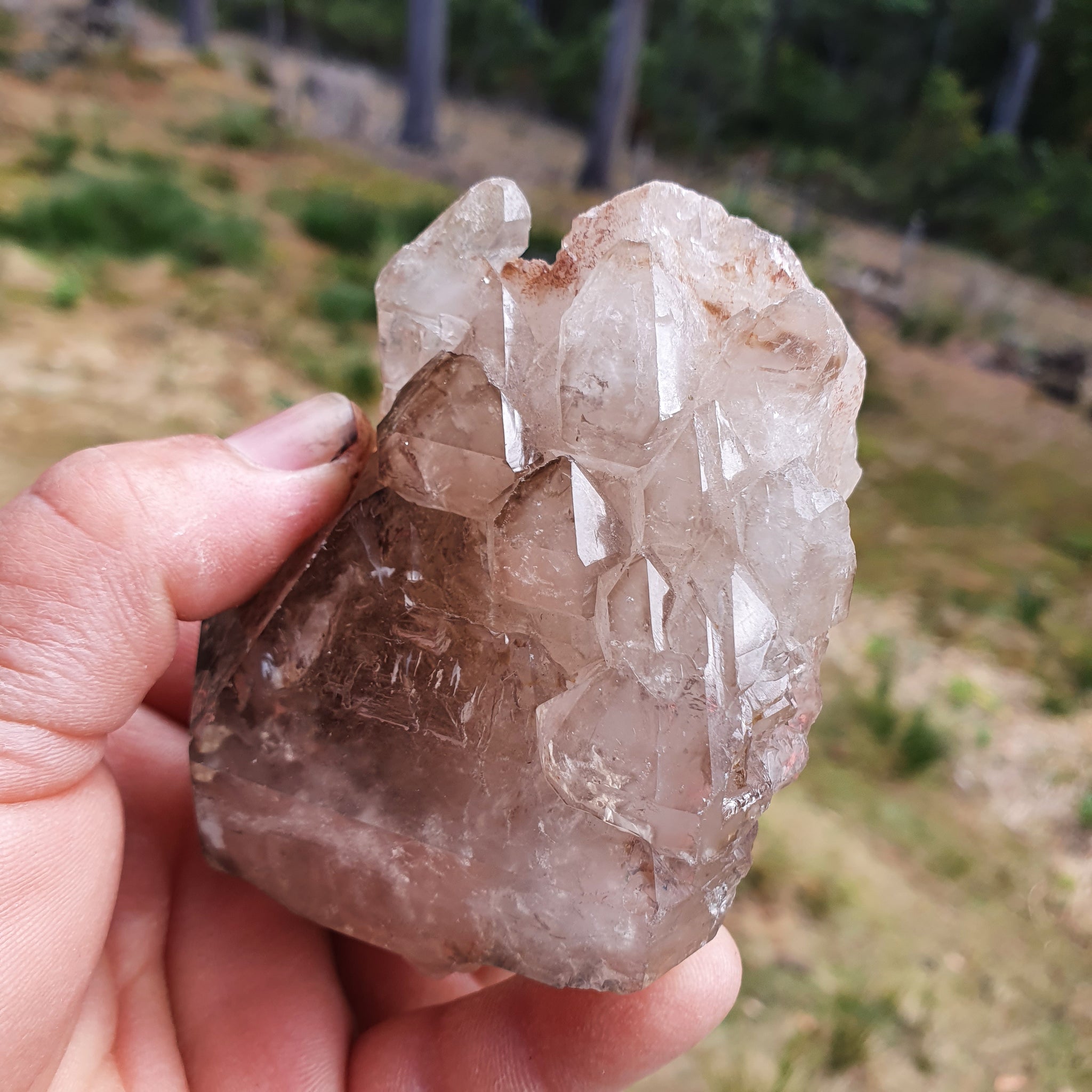 Smoky Elestial Quartz Cluster – huonvalleycrystals