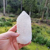 Nirvana Quartz Point Himalayan